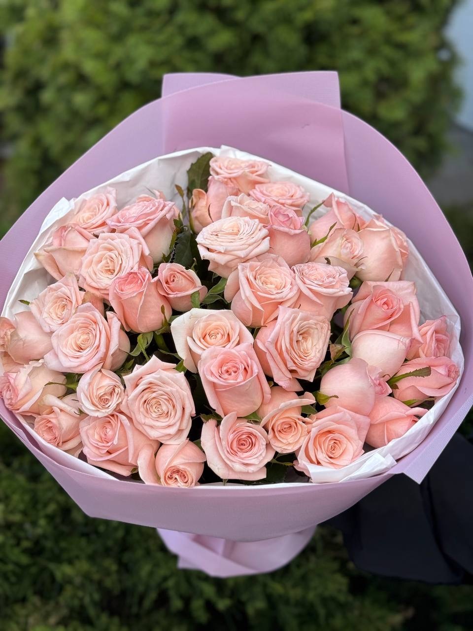 39 Roses Variety Kimberly