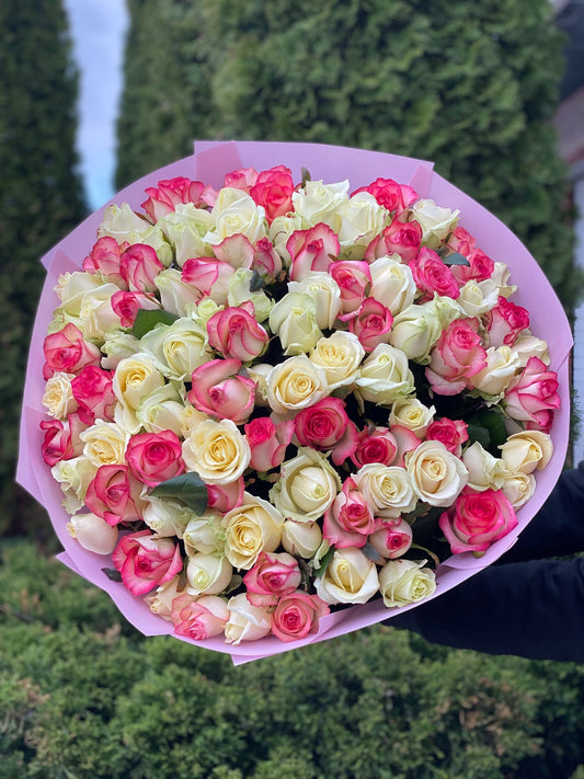 101 троянда сорт Джумілія та Аваланч