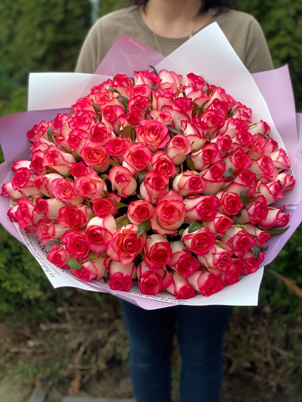 101 Roses Variety Jumilia