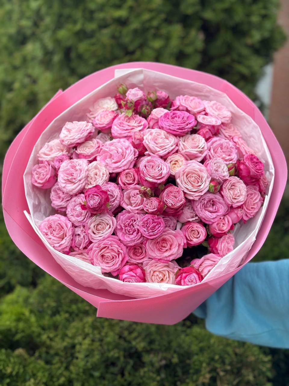 51 peony-shaped roses of the Lady Bombastic variety
