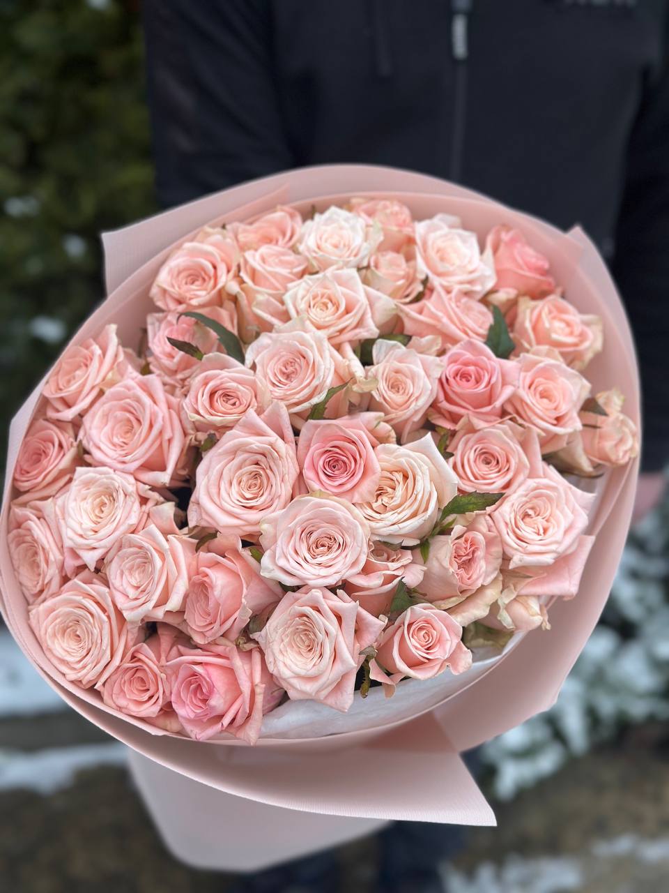39 Roses Variety Kimberly
