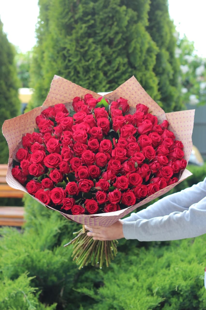 101 Roses of Red Eagle Variety