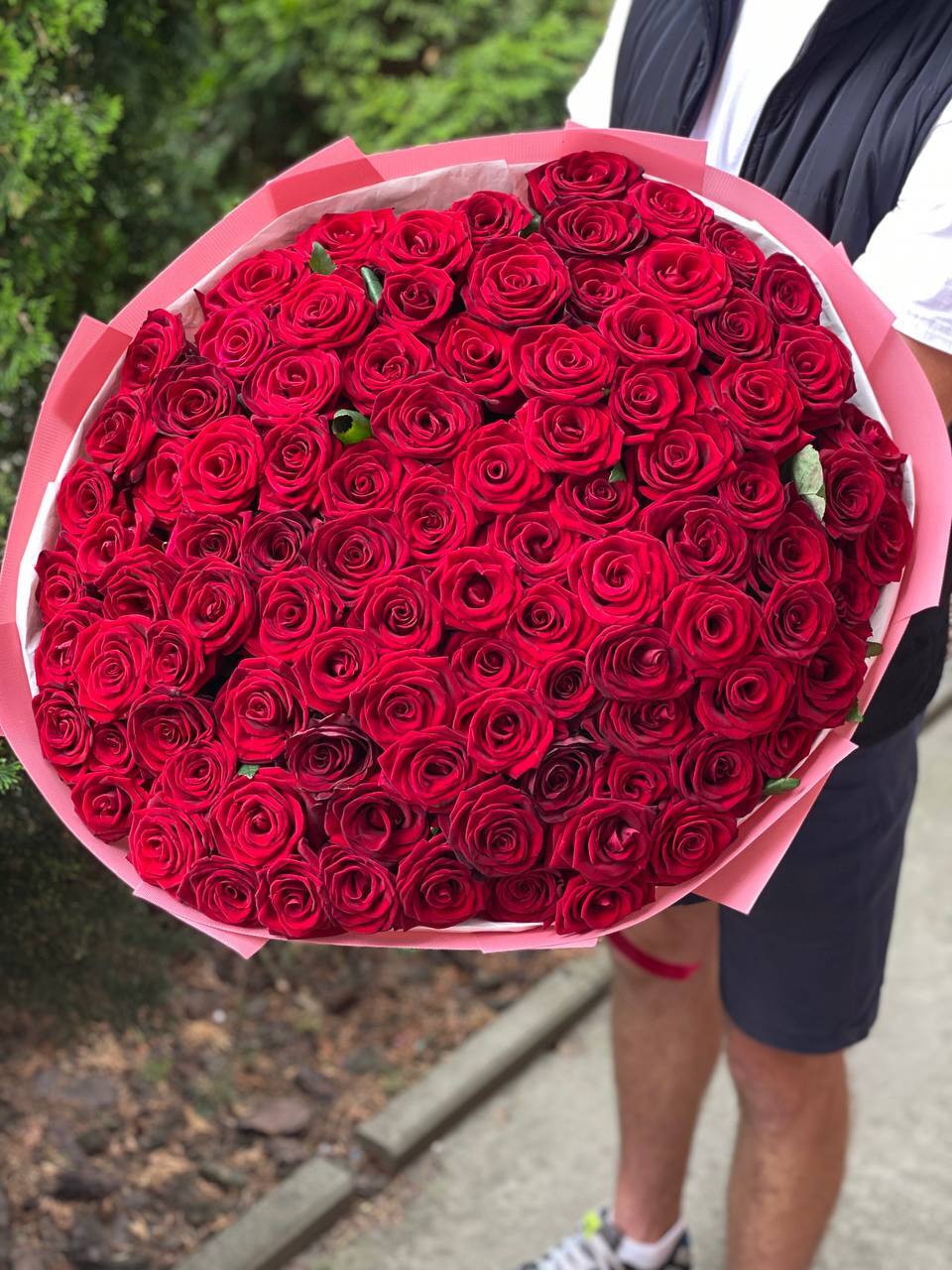 101 Roses of Red Eagle Variety