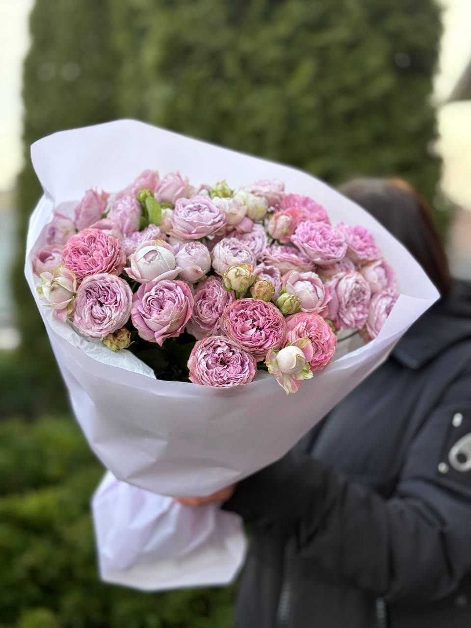 19 spray peony-shaped roses Lavender