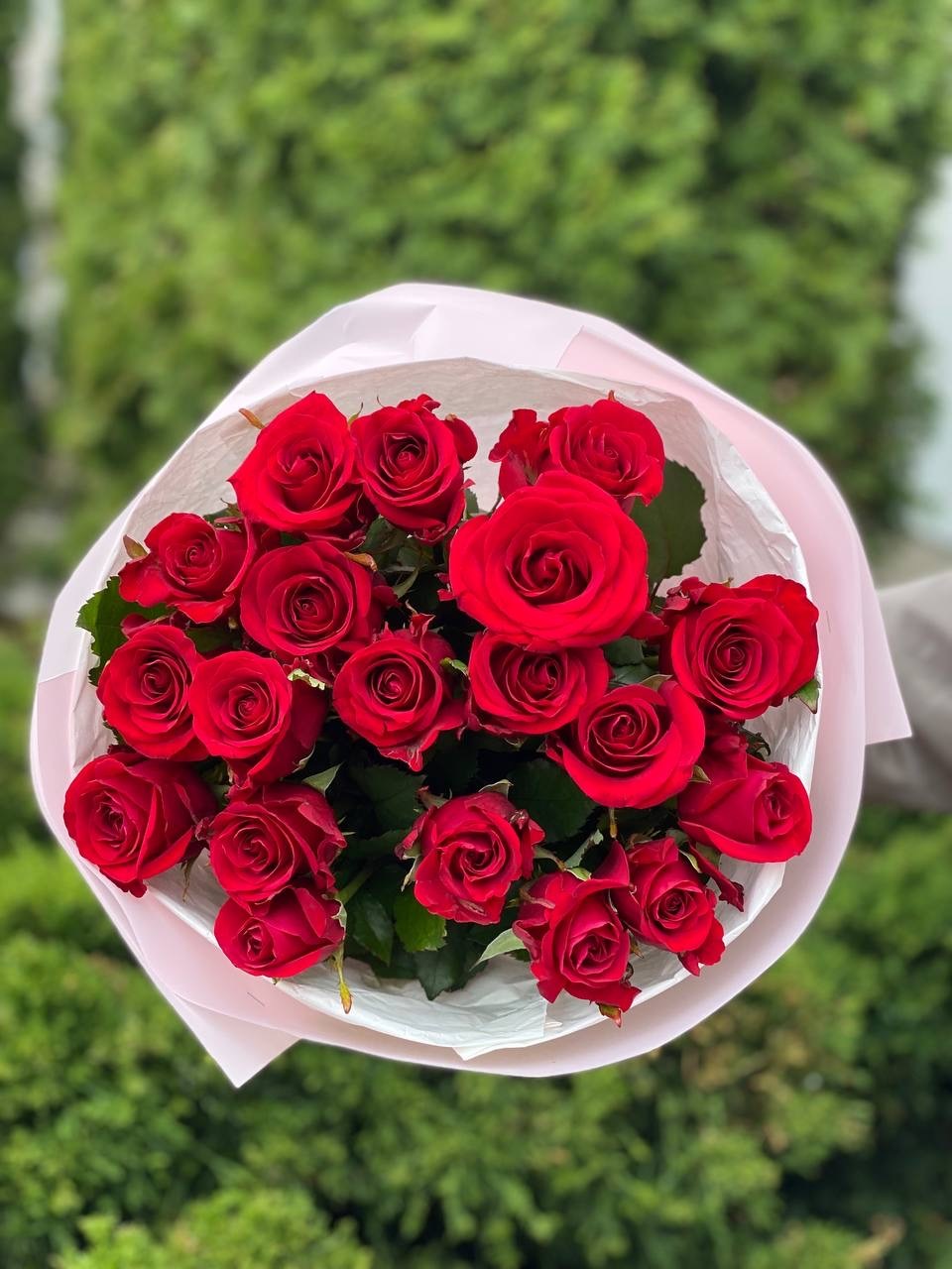19 roses of the Red Eagle variety