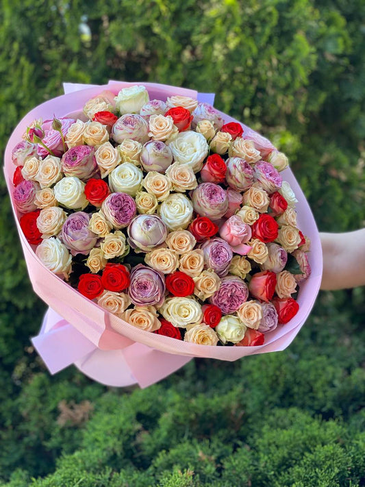 101 троянда піоновидні (сорт Міс Бомбастік та БОМБАСТИК, Лавандові, орандж )