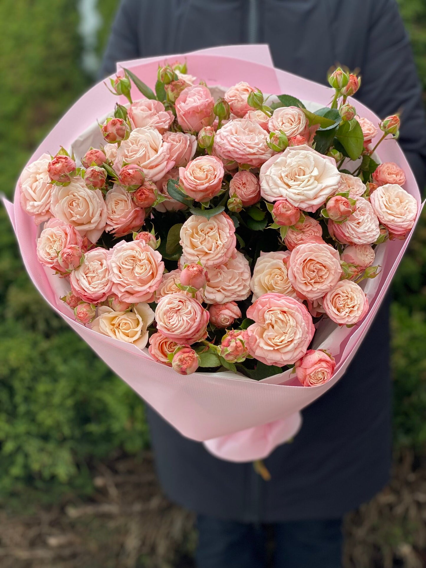 19 Spray Peony Roses Variety Madame Bombastic