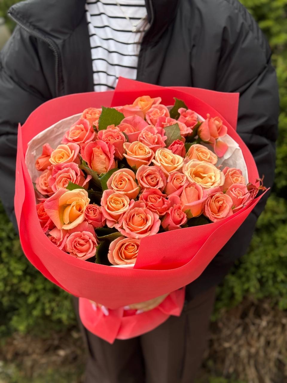 39 Roses Variety Miss Piggy