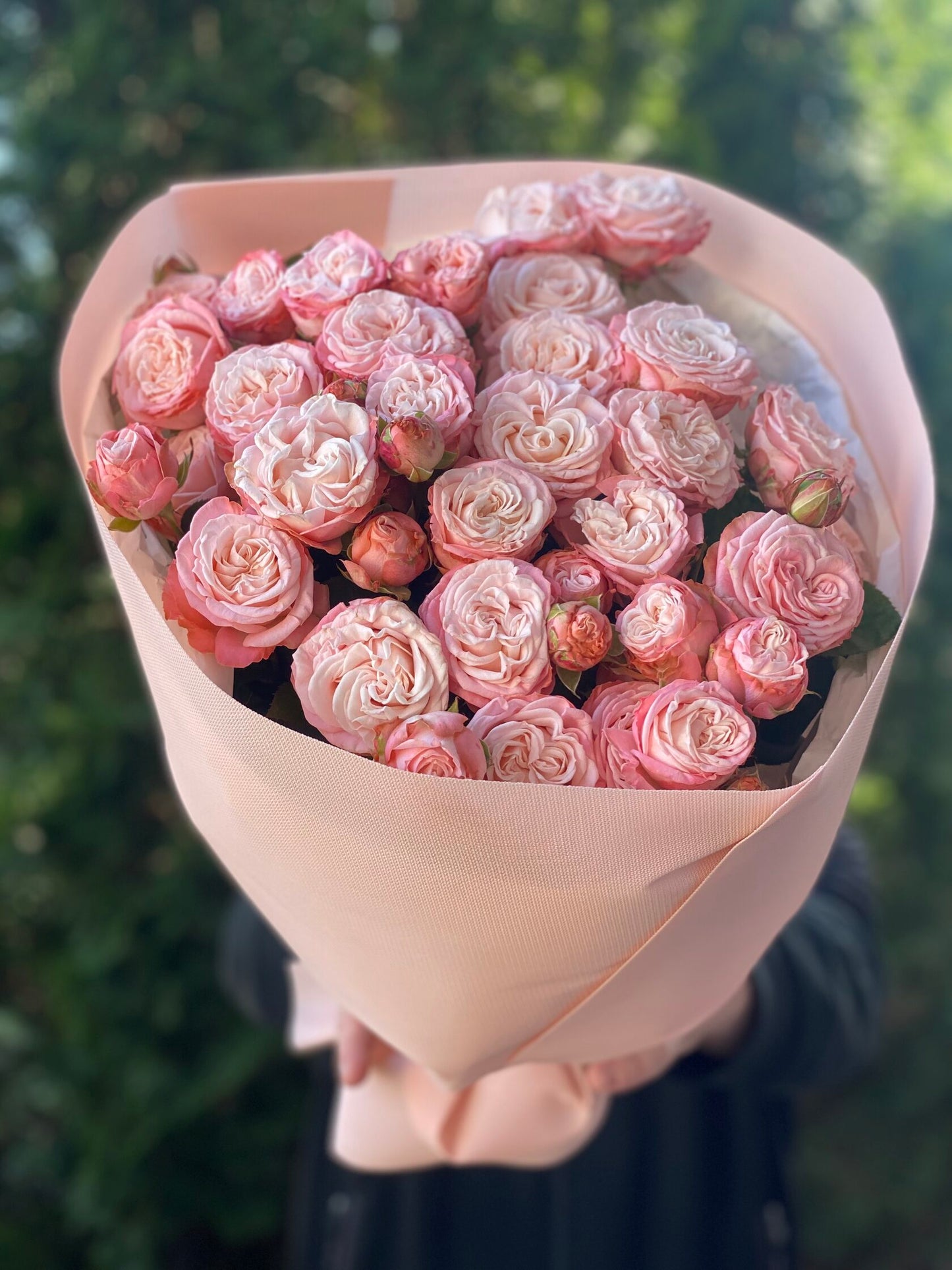 19 Spray Peony Roses Variety Madame Bombastic