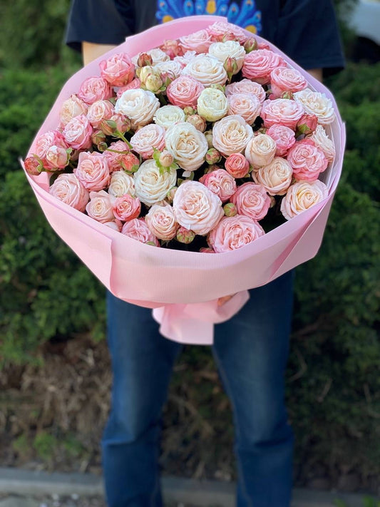 39 троянд сорт Принц Бомбастік та Бомбастік