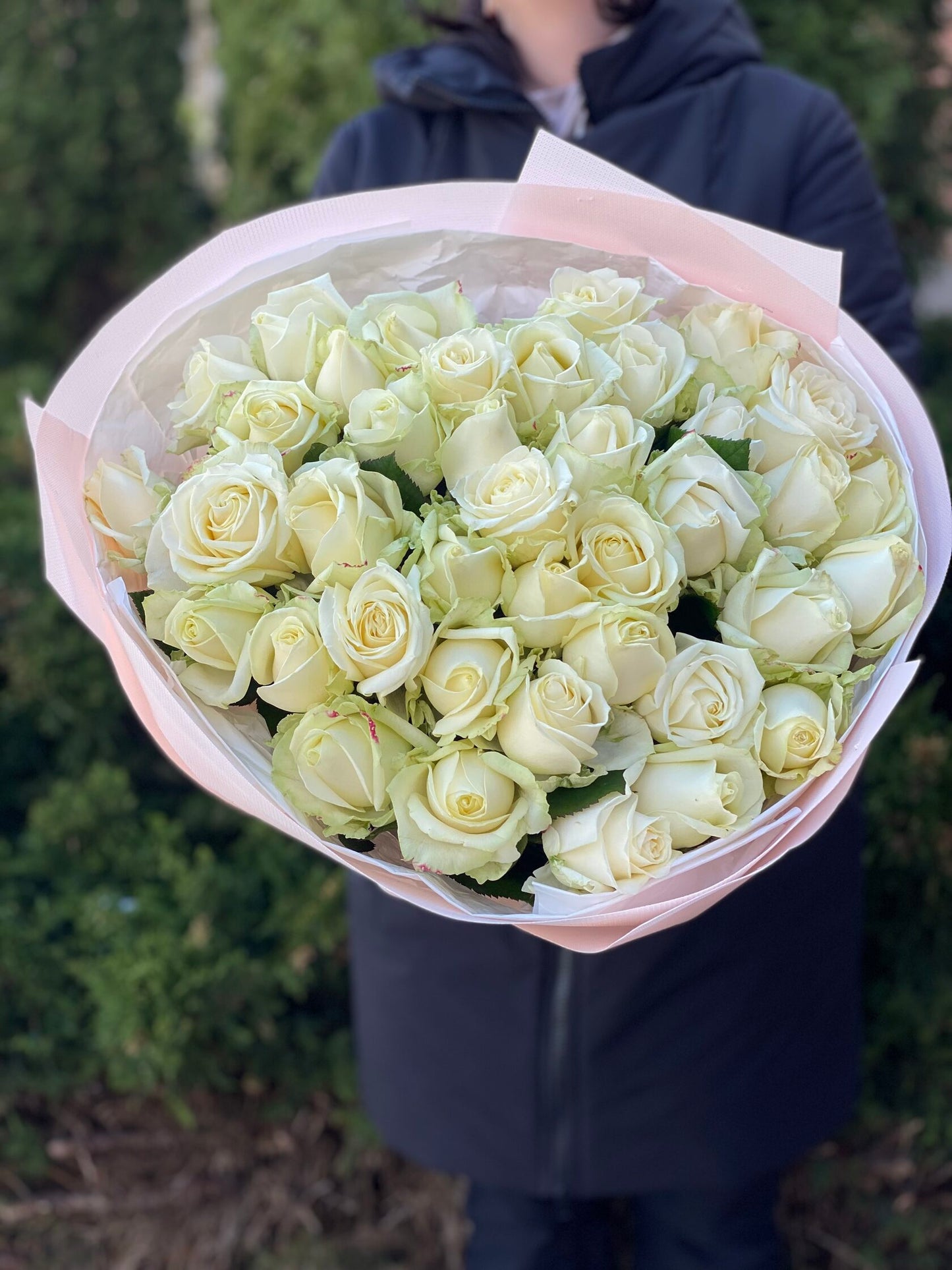 39 Roses Variety Avalanche