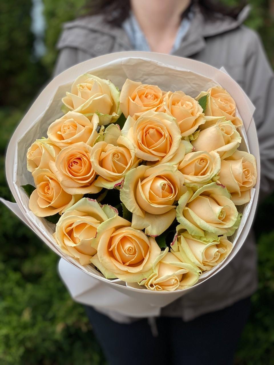 19 roses variety Peach Avalanche