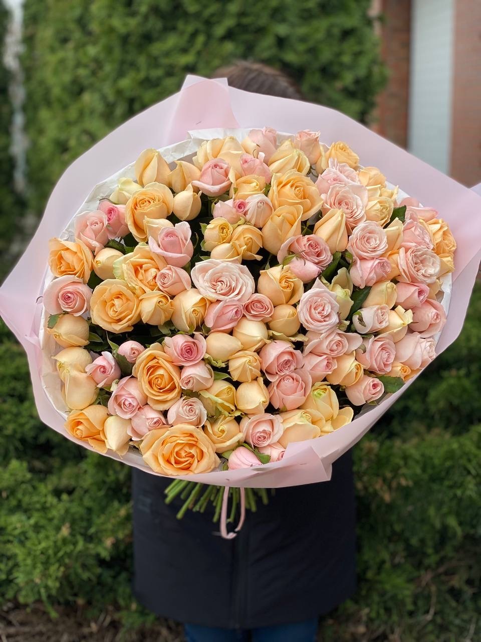 101 Roses of Peach Avalanche and Kimberley Varieties