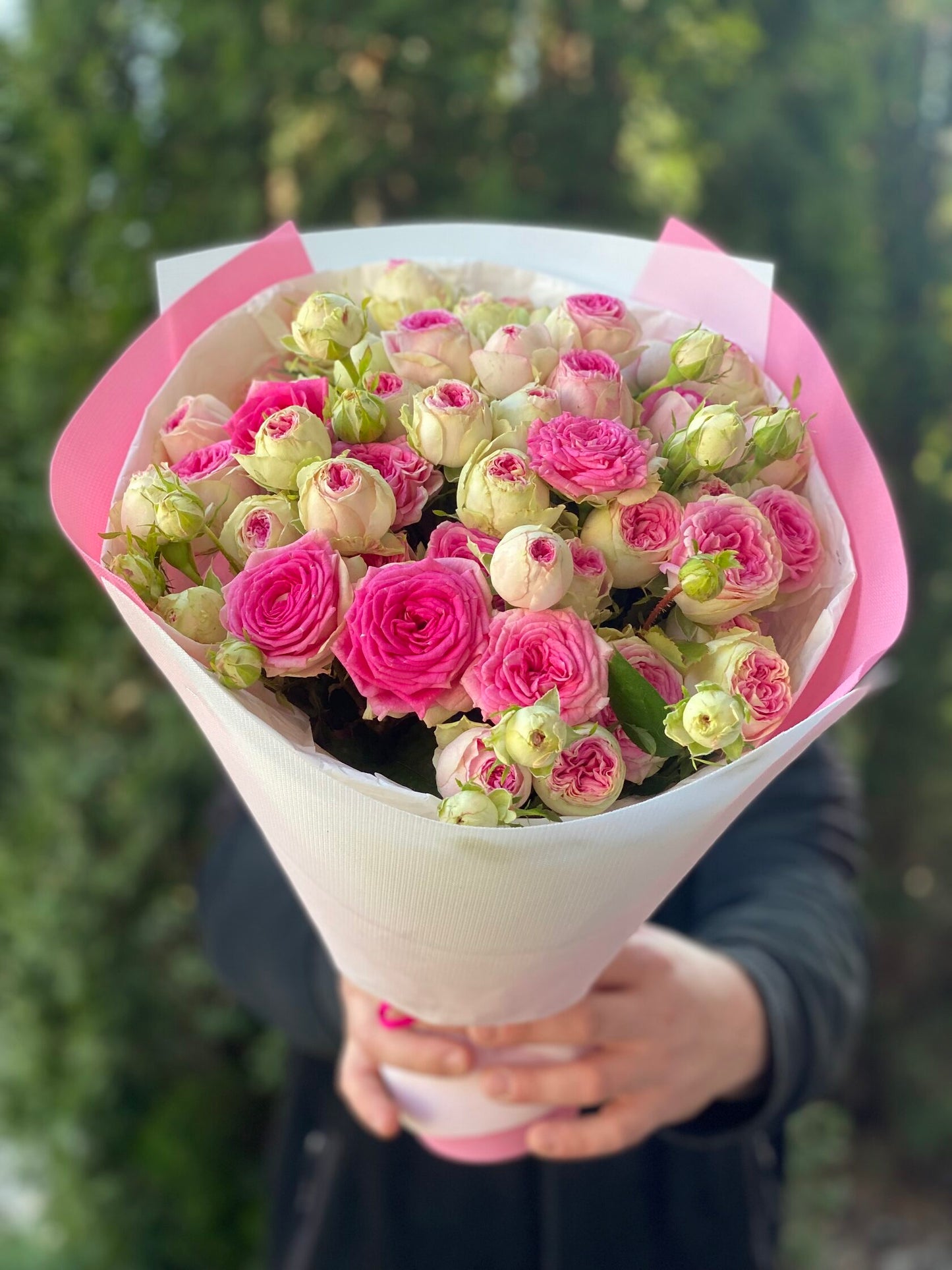 19 spray peony-shaped roses Gelato
