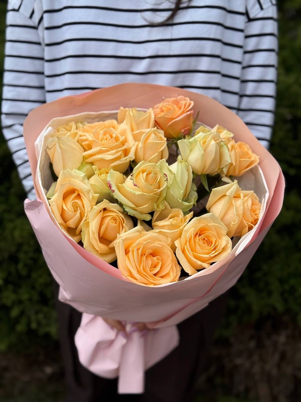 19 roses variety Peach Avalanche