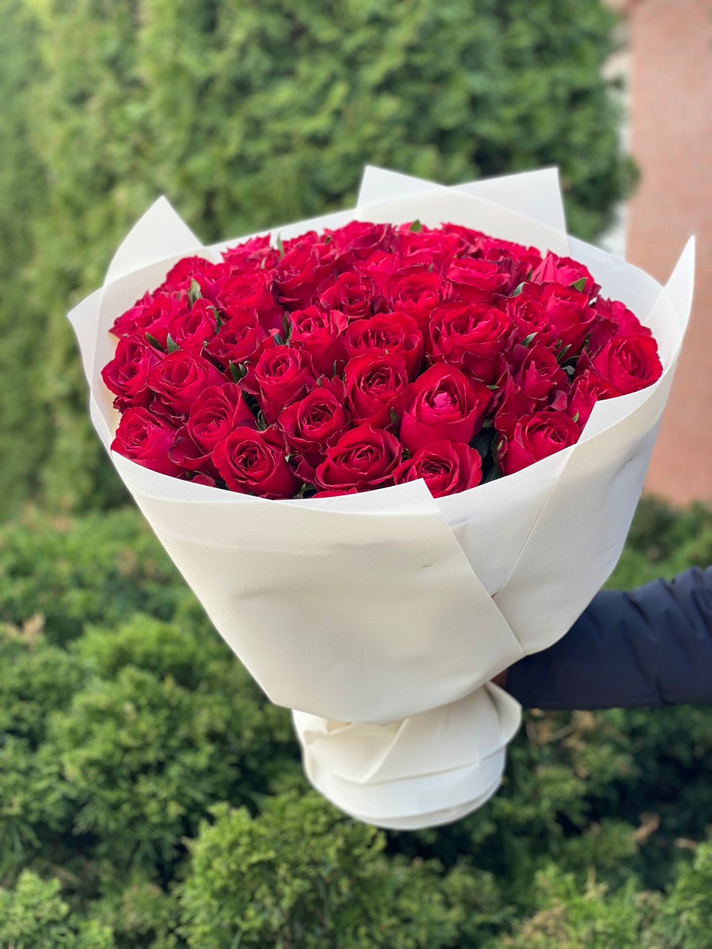 51 roses of the Grand Prix variety