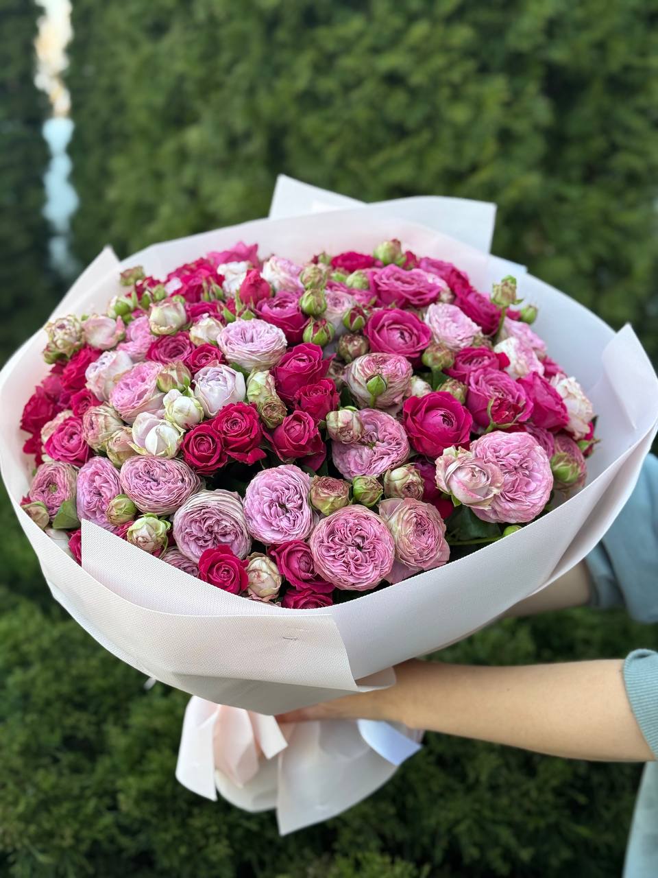 51 peony-shaped roses of the Lavender and Majestic varieties