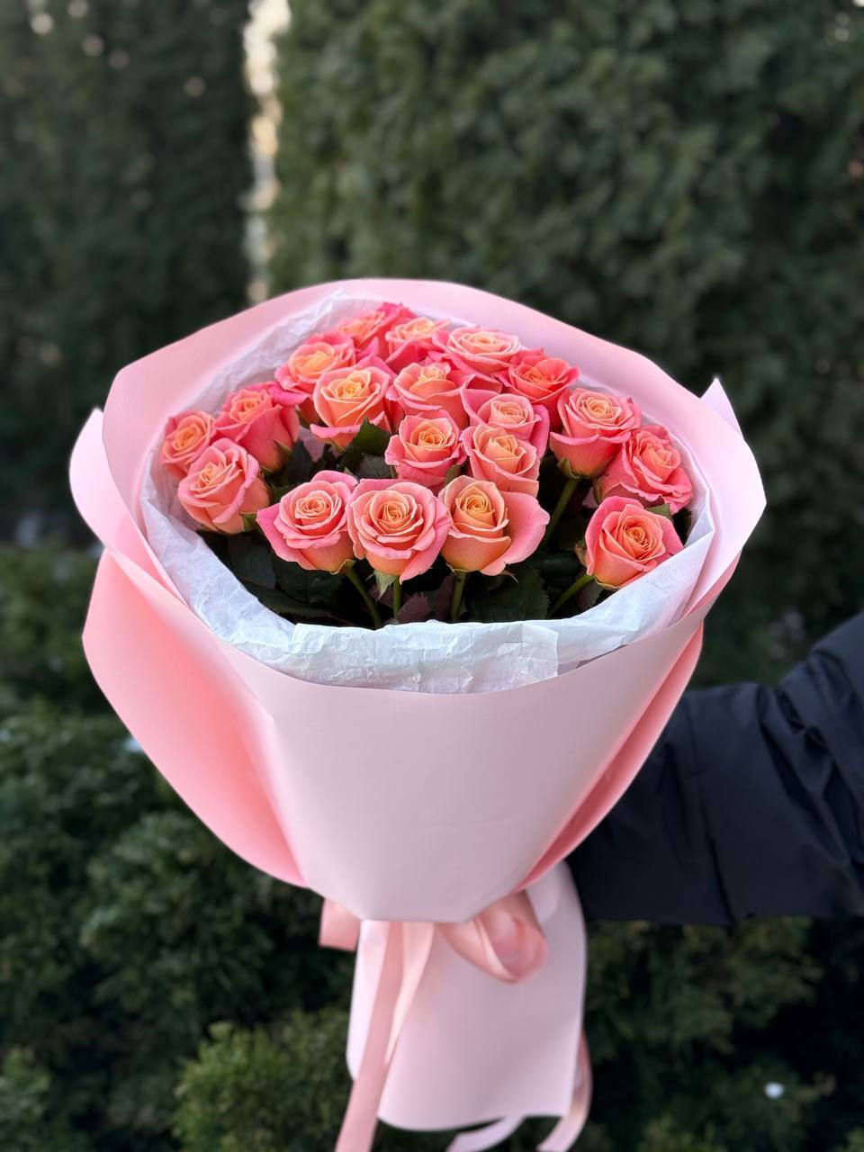 19 roses variety Miss Piggy