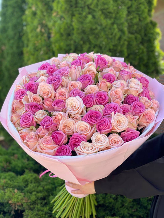 101 троянда сорт Кімберлі та Аква