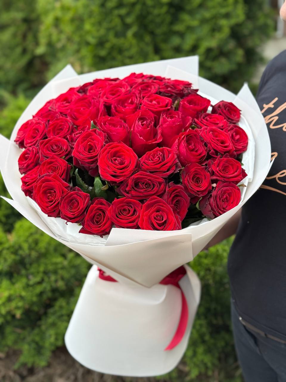 51 roses of the Red Naomi variety