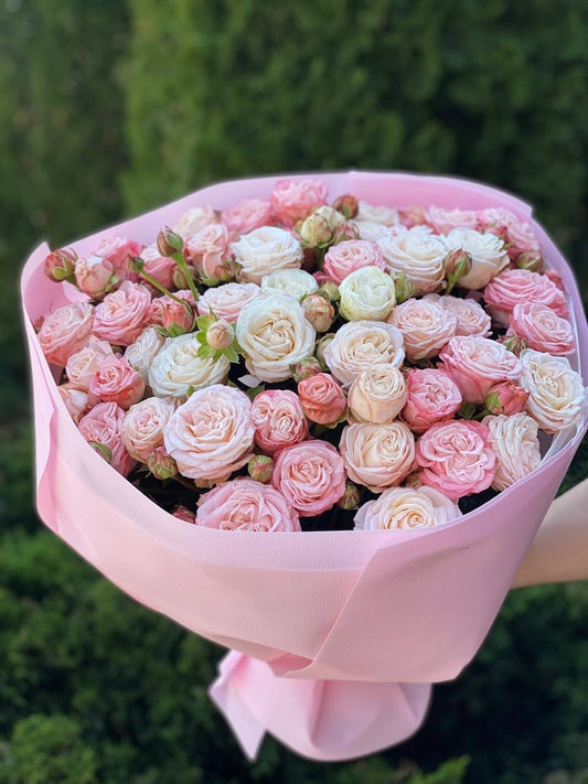 39 троянд сорт Принц Бомбастік та Бомбастік