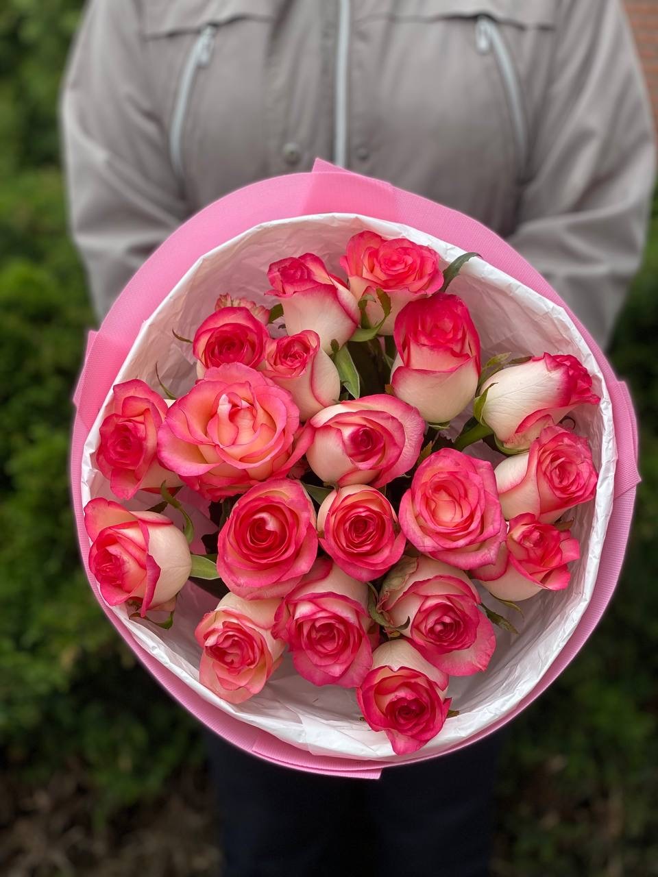 19 Roses Variety Jumilia
