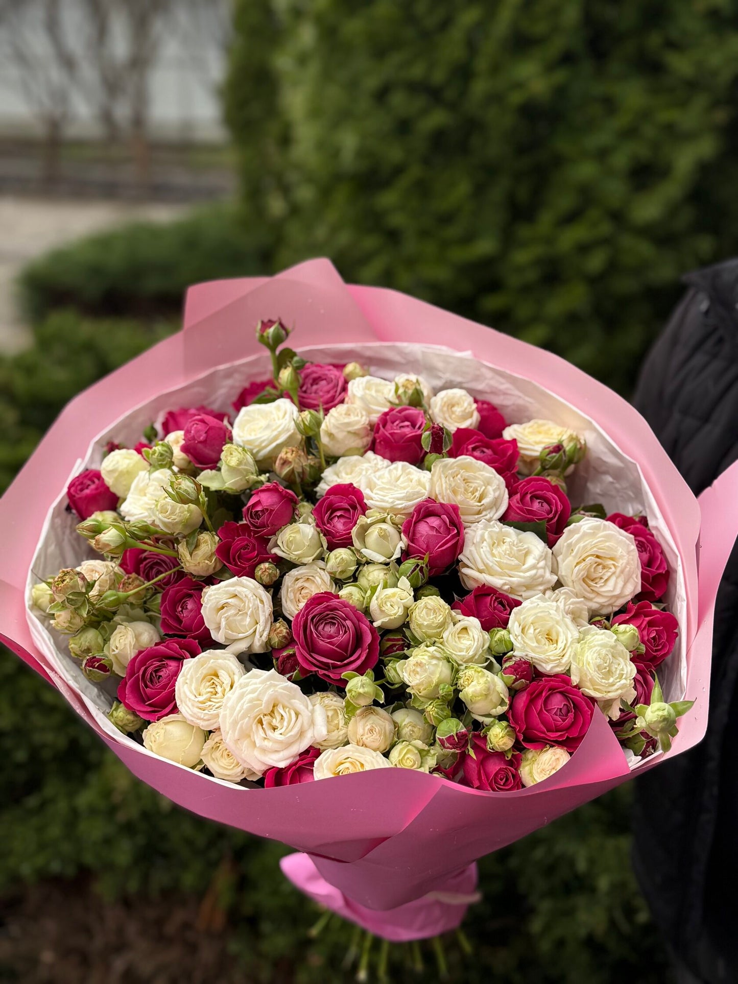 51 peony-shaped roses of the Miss Bombastic and Majestic varieties