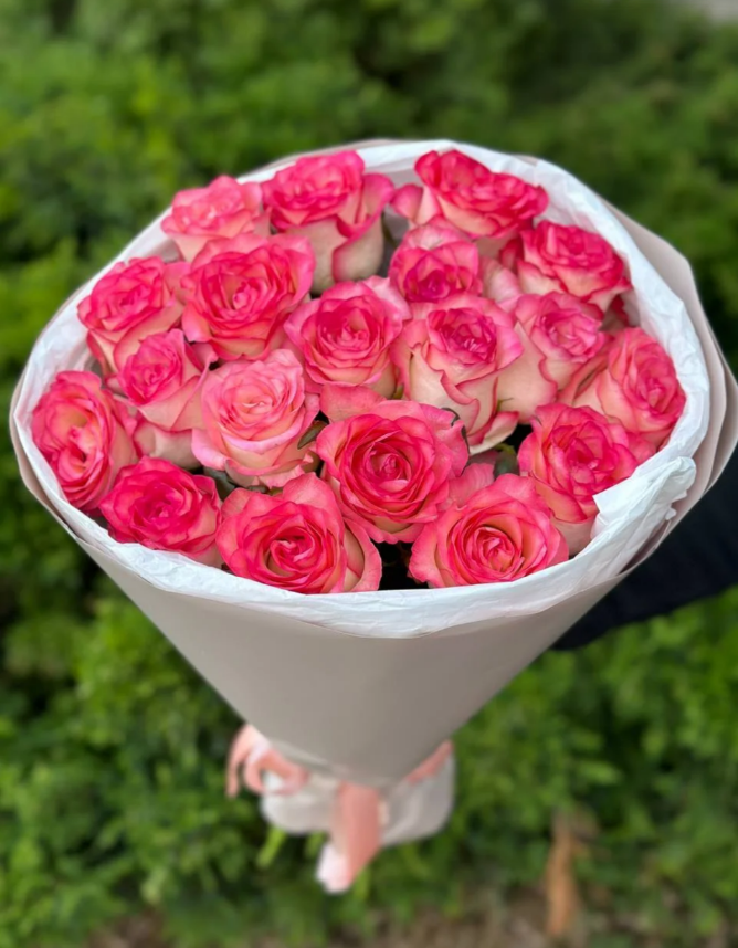 19 Roses Variety Jumilia
