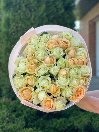 39 Roses Varieties Peach Avalanche and Avalanche