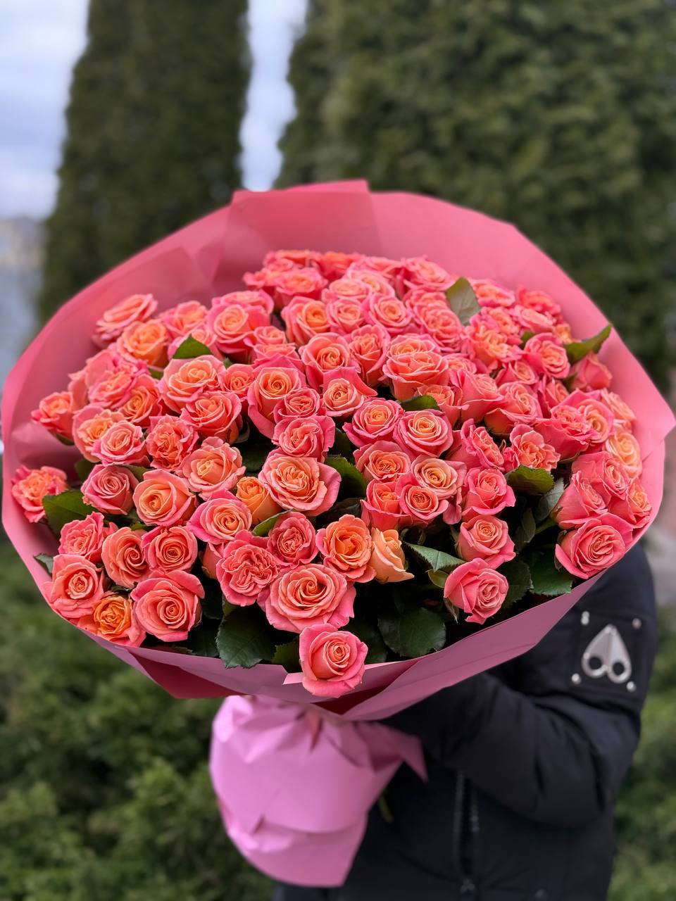 101 Roses Variety Miss Piggy