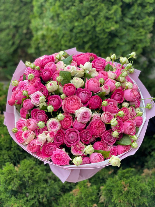 101 Peony Roses (Variety Light, Gelato, Majestic)
