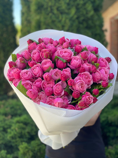 39 Peony Roses Variety Lavender Lace Light