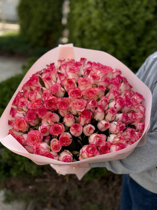 101 Roses Variety Jumilia