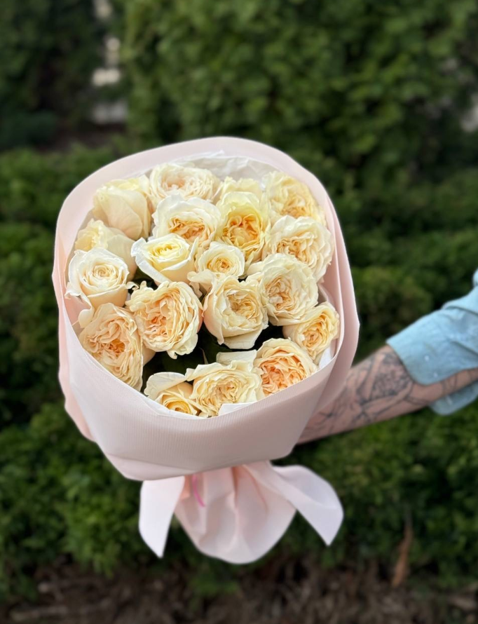 19 Roses Variety Cream Fragrance Peony Roses