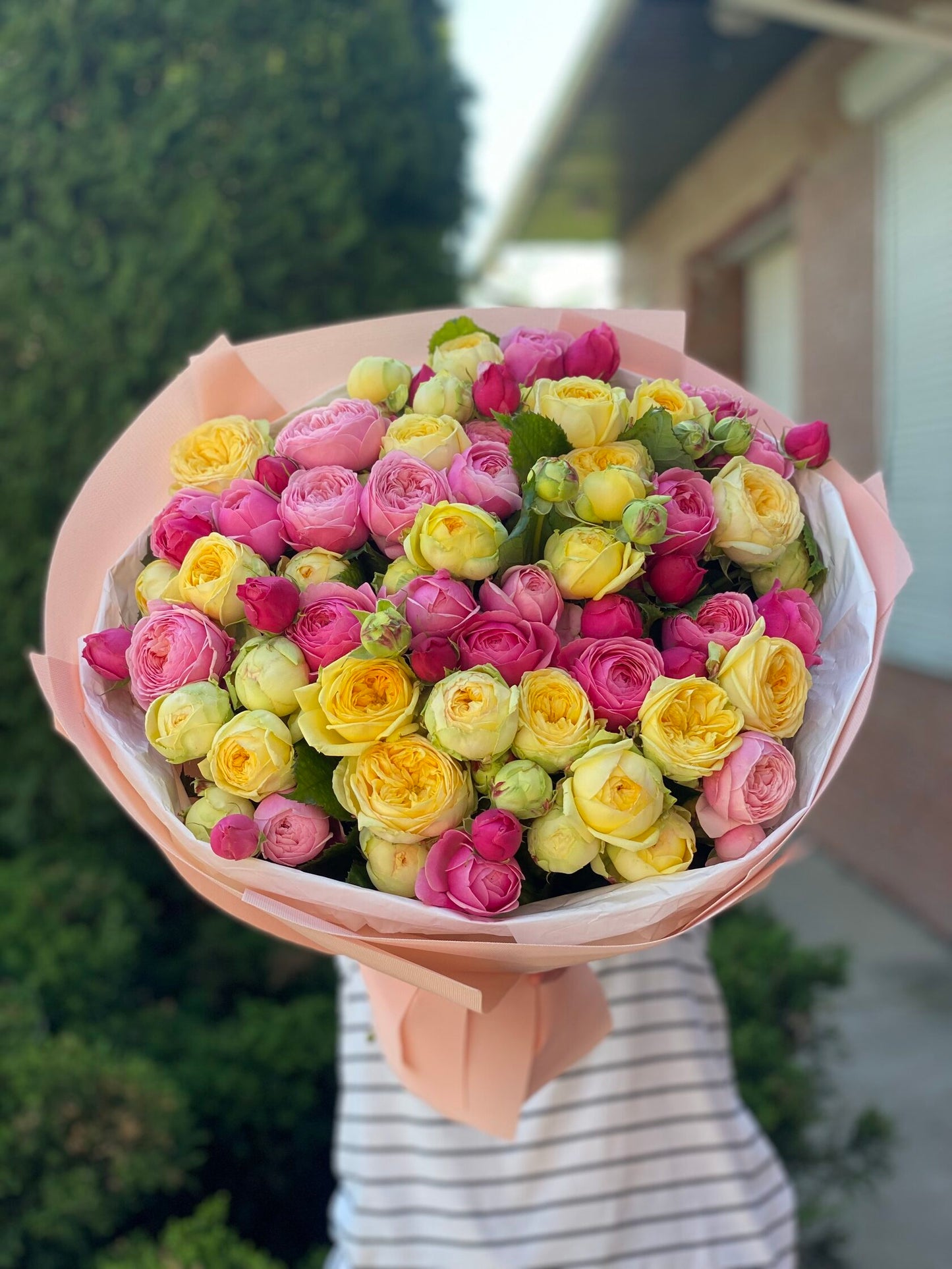 39 Peony Roses Varieties Light and Peony