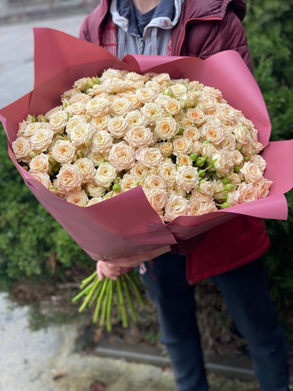 101 Spray Roses (Variety Tanja)