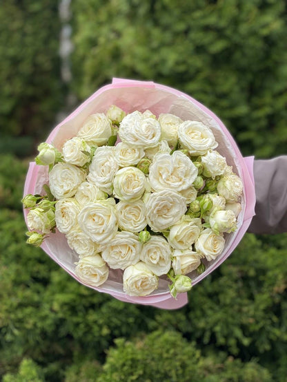 19 Spray Peony Roses Variety Miss Bombastic
