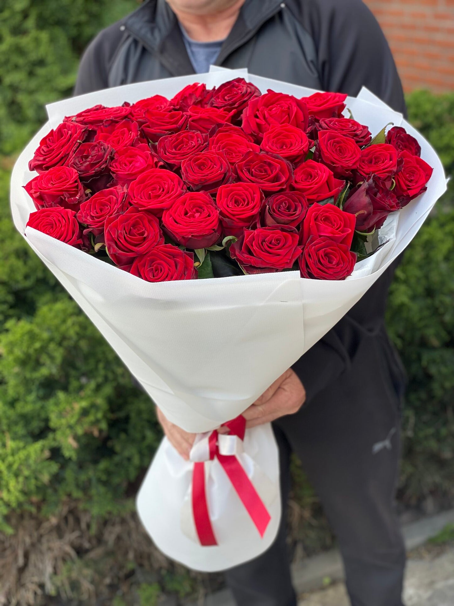39 Roses Variety Red Naomi