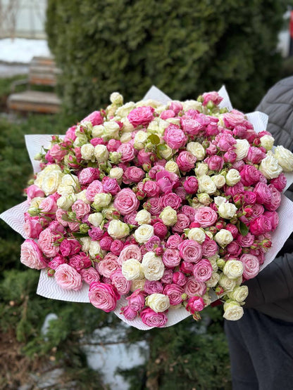 101 Spray Roses (Varieties Tanja, Lavender, Lavender Lace)