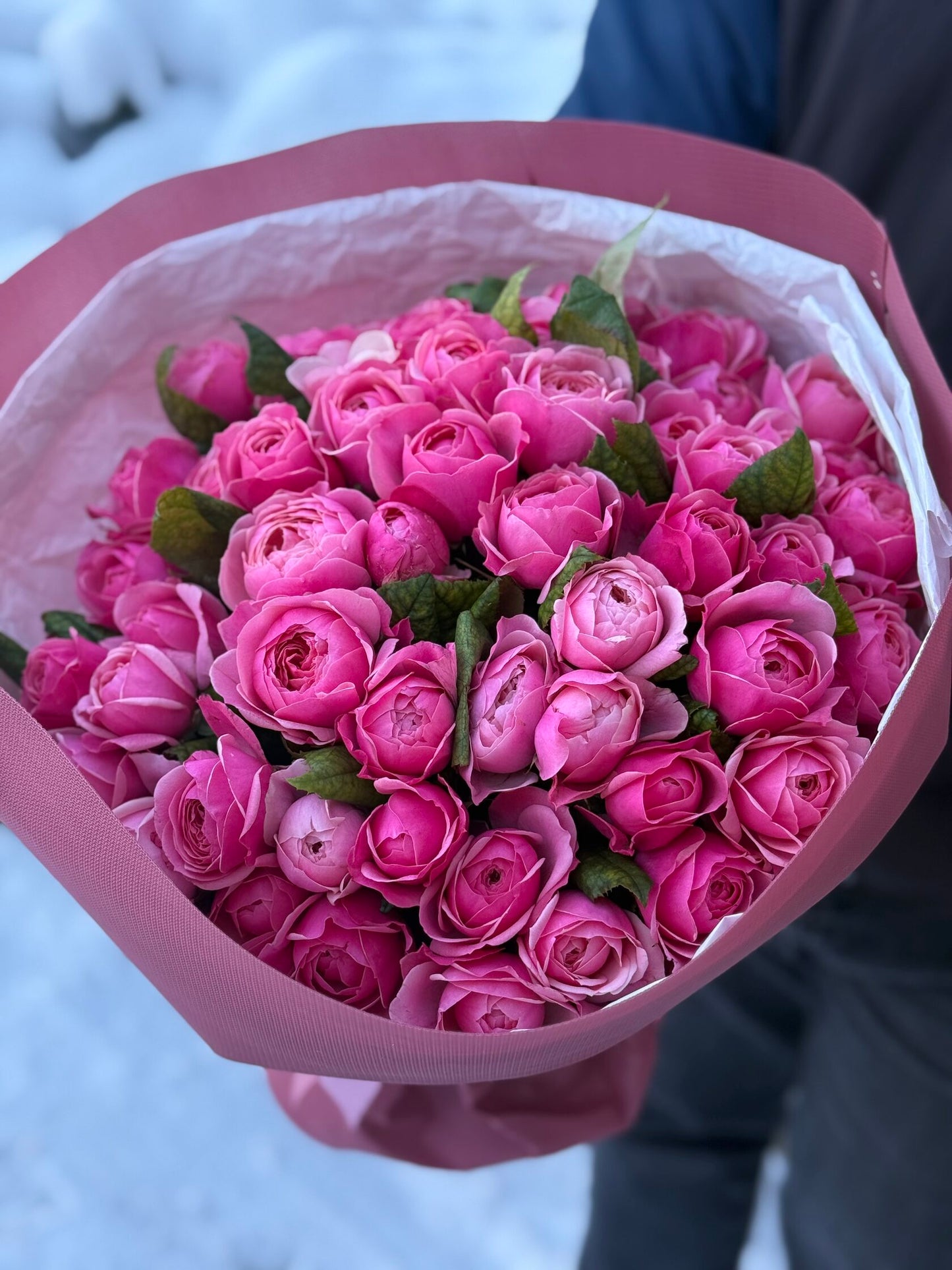 51 peony-shaped roses of the Light variety