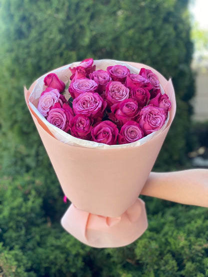 19 roses variety Prince of Persia