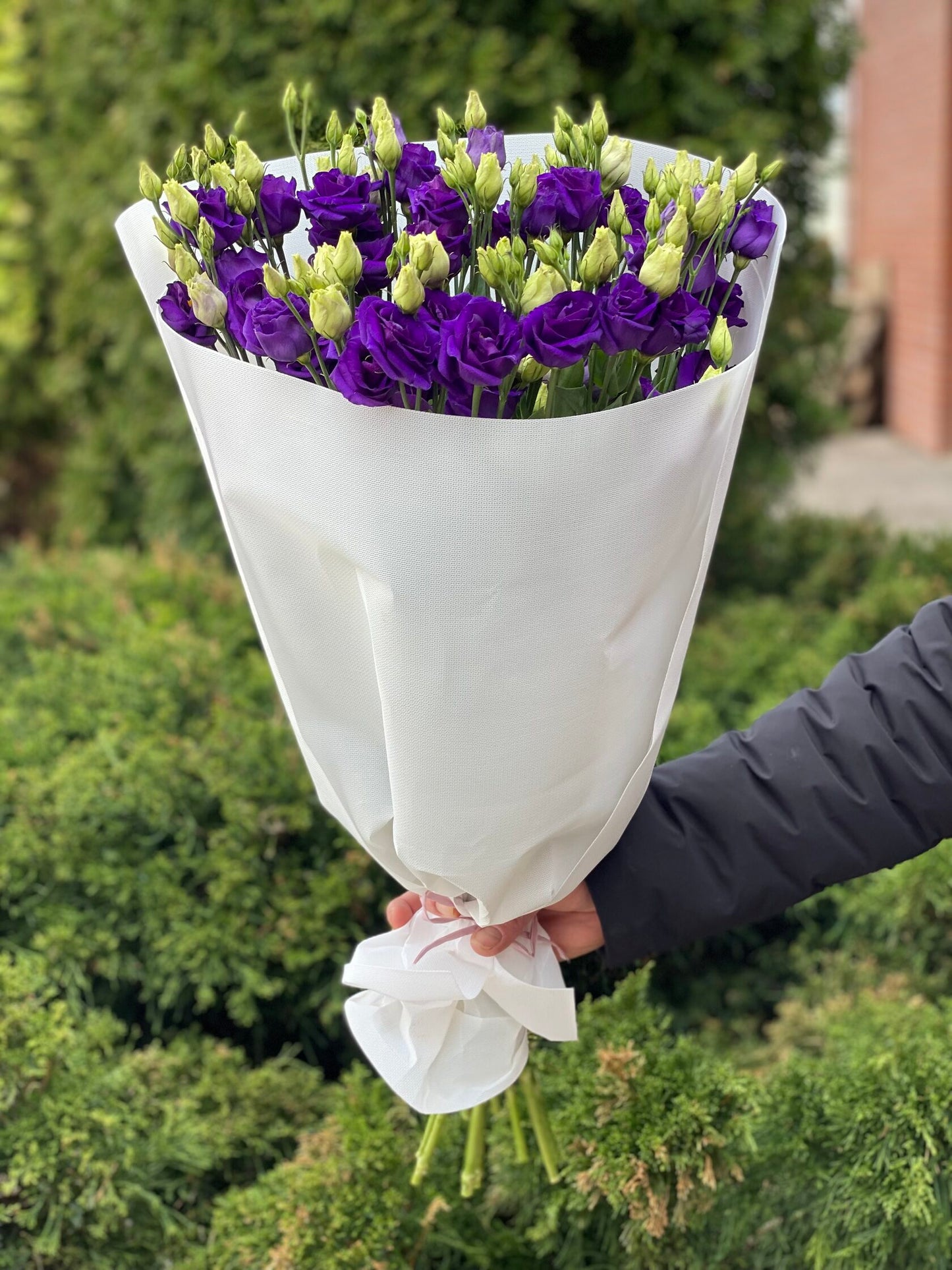 White eustoma 9 stems (70 cm)