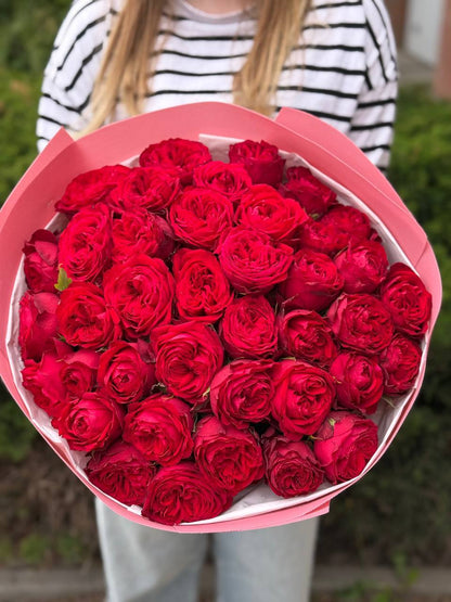 39 Peony Roses Red Variety Country Spirit
