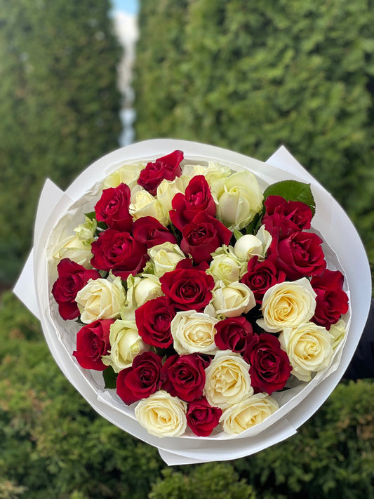 39 Roses Varieties Grand Prix and Avalanche