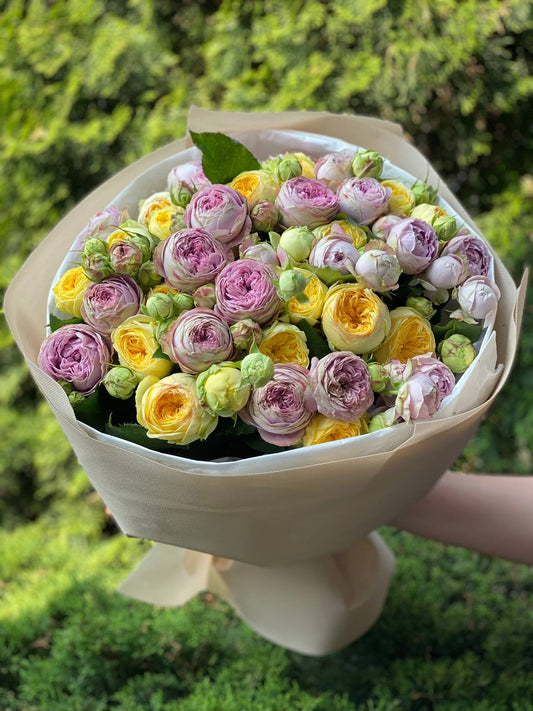 51 peony-shaped roses of the Lavender and Peony varieties