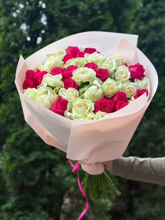 39 Roses Varieties Avalanche and Cherry