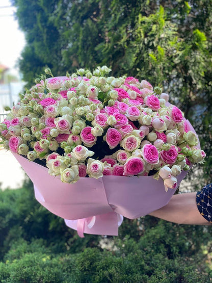 101 Peony-Shaped Roses of the Gelato Variety