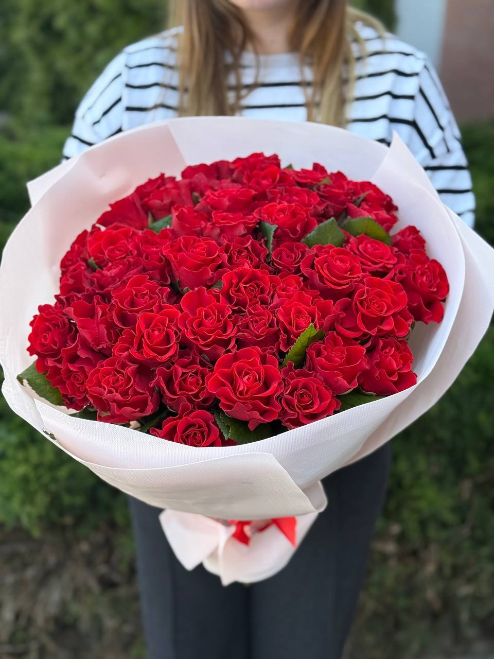 51 roses of the El Toro variety