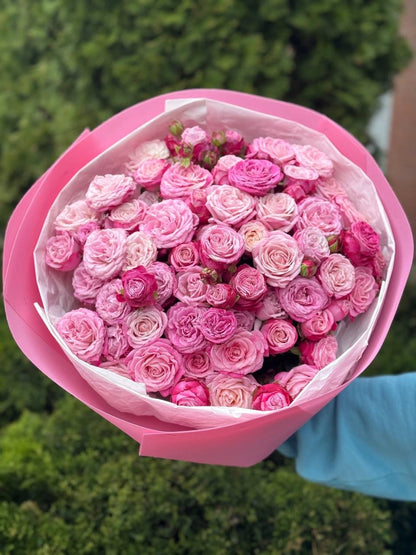 51 peony-shaped roses of the Lady Bombastic variety