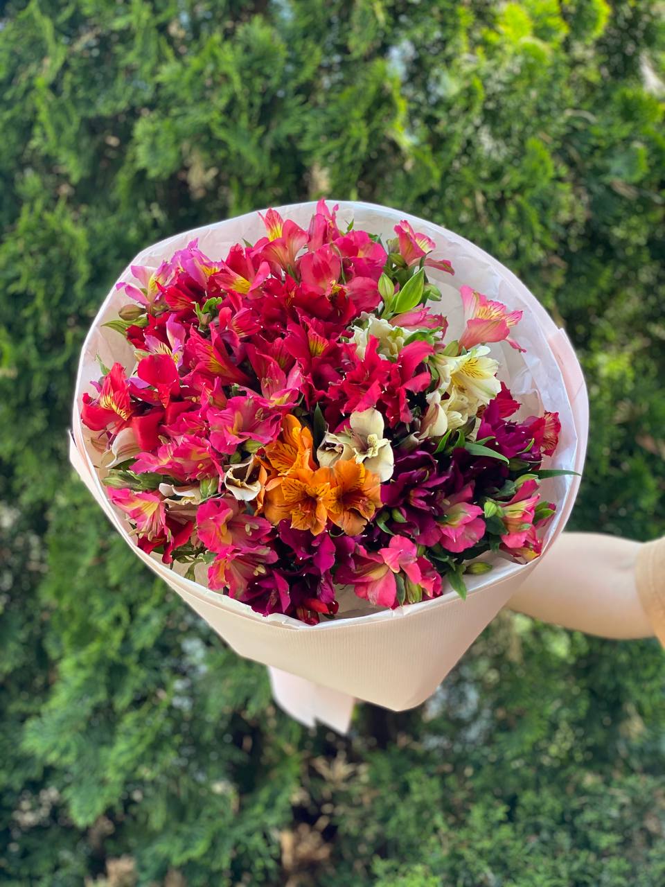 Bouquet of 19 stems Alstroemerias